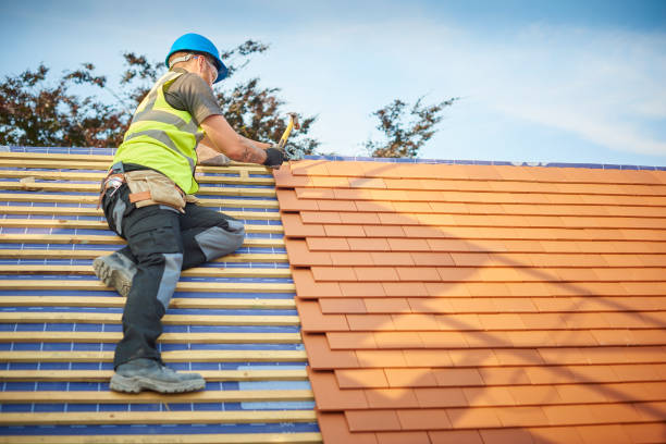 Best Metal Roofing Installation  in Bowling Green, MO